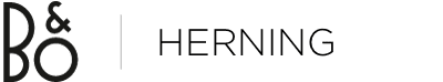 NexusHerning Logo